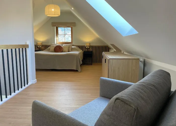 Paproc I Malina - 300 Metrow Do Centrum Appartement *