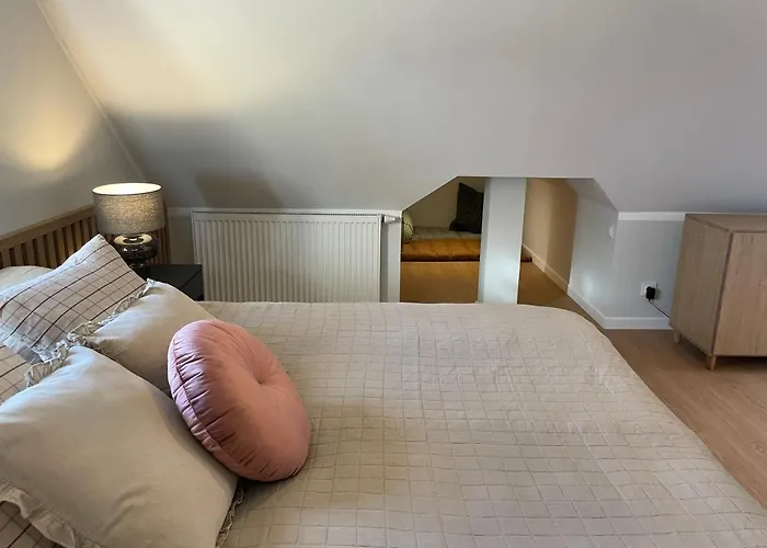 Paproc I Malina - 300 Metrow Do Centrum Appartement